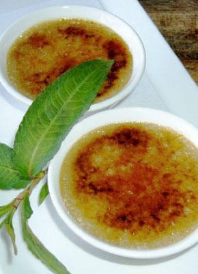 Vanilla Honey Bondi Chai Crème Brulée infused with Mint
